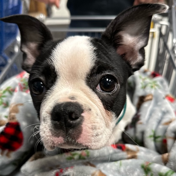 Share for share...⬇️⬇️⬇️⬇️. PLEASE read below. - Picture 2 of 16